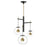Nucleus-multi-light Pendant | E25156-BKNAB