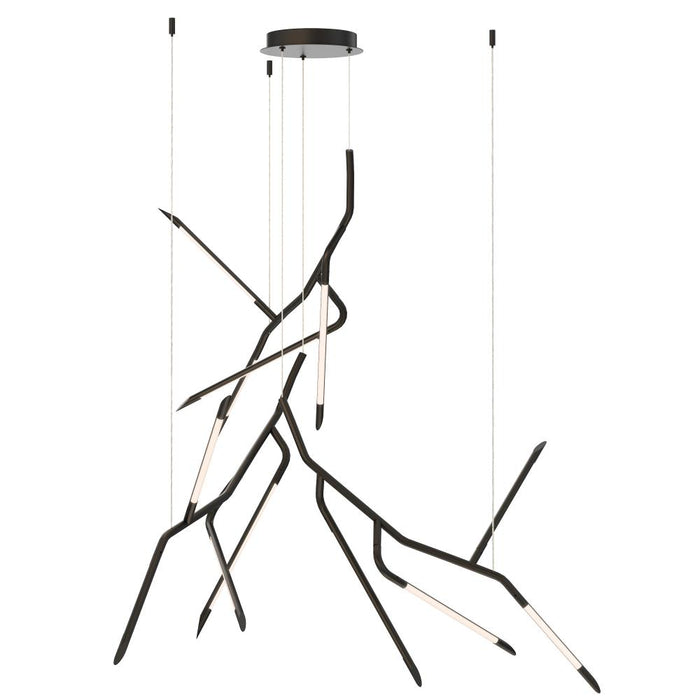 Scion-multi-light Pendant | E25415-BK