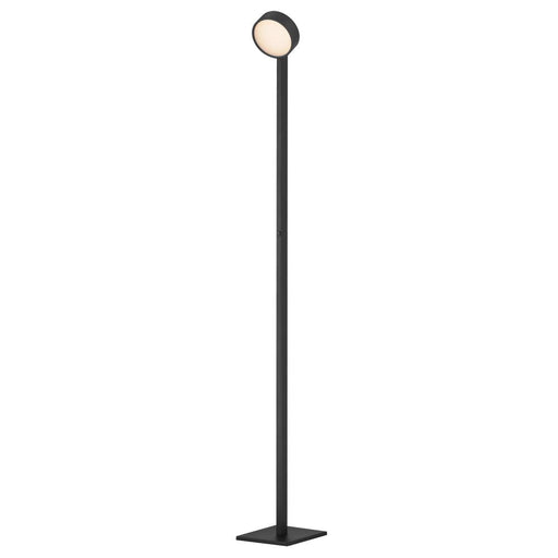 Embrace- Floor Lamp | E30529-BK