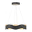 Vaughan 1 Light Chandelier In Black And Nickel | 31783-024