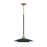 Welsh 1 Light Pendant In Blue And Black | 46441-027