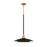 Welsh 1 Light Pendant In Black | 46441-041