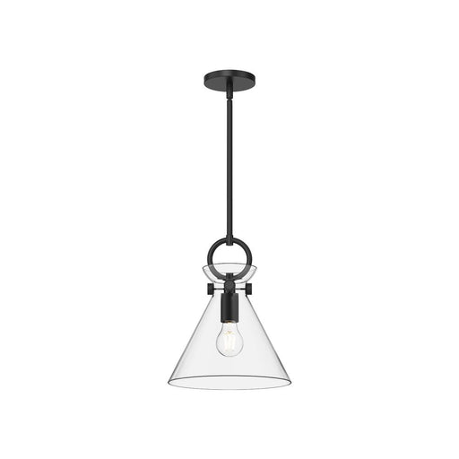 Emerson 11-in Matte Black/clear Glass 1 Light Pendant | PD412511MBCL