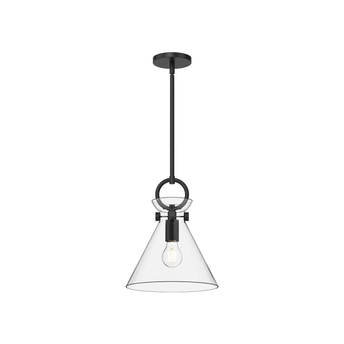 Emerson 11-in Matte Black/clear Glass 1 Light Pendant | PD412511MBCL