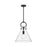 Emerson 14-in Matte Black/clear Glass 1 Light Pendant | PD412514MBCL