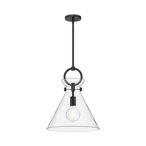 Emerson 14-in Matte Black/clear Glass 1 Light Pendant | PD412514MBCL