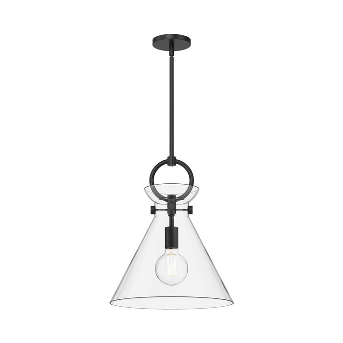 Emerson 14-in Matte Black/clear Glass 1 Light Pendant | PD412514MBCL