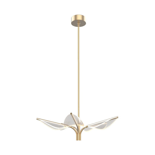 Flora 5 Head Natural Brass Led Pendant | PD321105NB