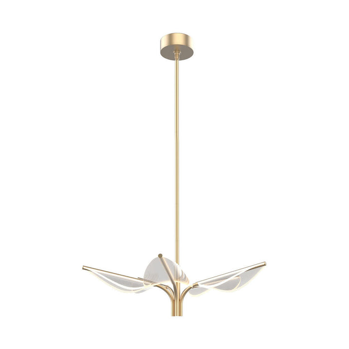Flora 5 Head Natural Brass Led Pendant | PD321105NB