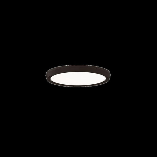 Argo Flush Mount Light | FM-4211-27-BK