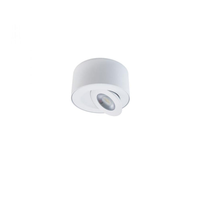 I Spy Outdoor Flush Mount Light | FM-W44205-30-WT