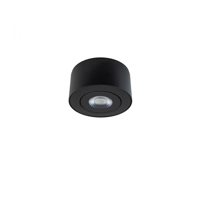 I Spy Outdoor Flush Mount Light | FM-W44205-40-BK