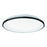 Brook 15-in Black Led Flush Mount | FM43315-BK