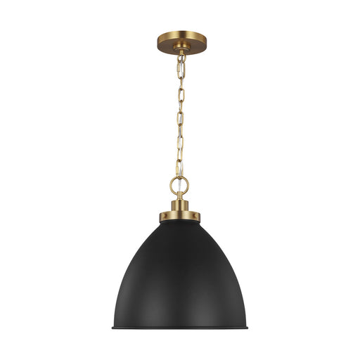 Wellfleet Medium Dome Pendant | CP1291MBKBBS