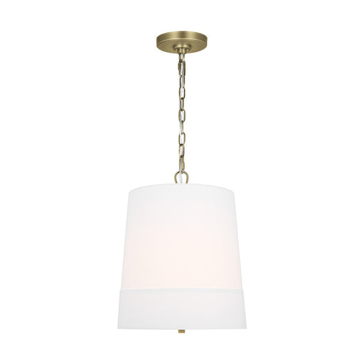 Visual Comfort & Co. Studio Collection Ivy traditional dimmable indoor 1-light medium pendant in a time worn brass finish with an etched wh