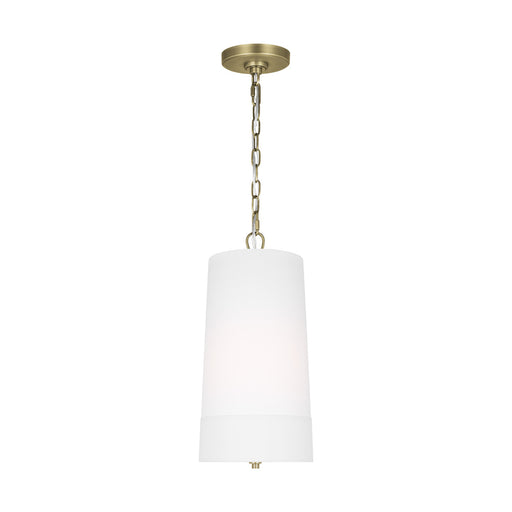 Visual Comfort & Co. Studio Collection Ivy traditional dimmable indoor 1-light tall pendant in a time worn brass finish with an etched whit