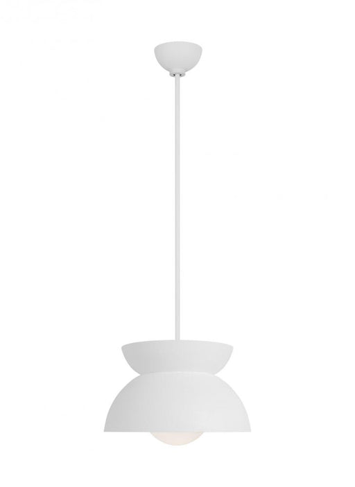 Visual Comfort & Co. Studio Collection Beaunay Casual 1-Light Indoor Dimmable Medium Pendant Ceiling Hanging Chandelier Light