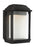 Visual Comfort & Co. Studio Collection McHenry Small LED Lantern