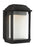 Mchenry Small Led Lantern | OL12800TXB-L1