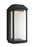 Visual Comfort & Co. Studio Collection Large LED Lantern