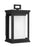 Roscoe Small Lantern | OL12900TXB