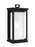 Roscoe Large Lantern | OL12902TXB