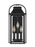 Visual Comfort & Co. Studio Collection Wellsworth Transitional 3-Light Outdoor Exterior Small Lantern Sconce Light