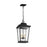 Warren Hanging Lantern | OL15409TXB