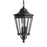 Cotswold Lane Medium Pendant | OL5412BK