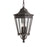 Cotswold Lane Medium Pendant | OL5412GBZ