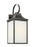 Say Brook One Light Medium Lantern | GLO1021ANBZ