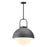 Harper 16-in Steel Shade/opal Matte Glass 1 Light Pendant | PD507216SLOP