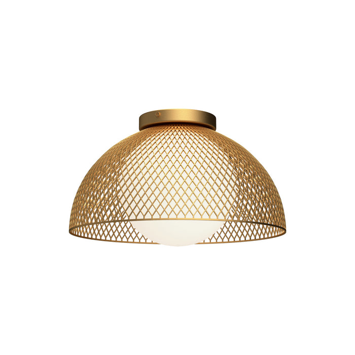 Haven | FM402513GDOP
