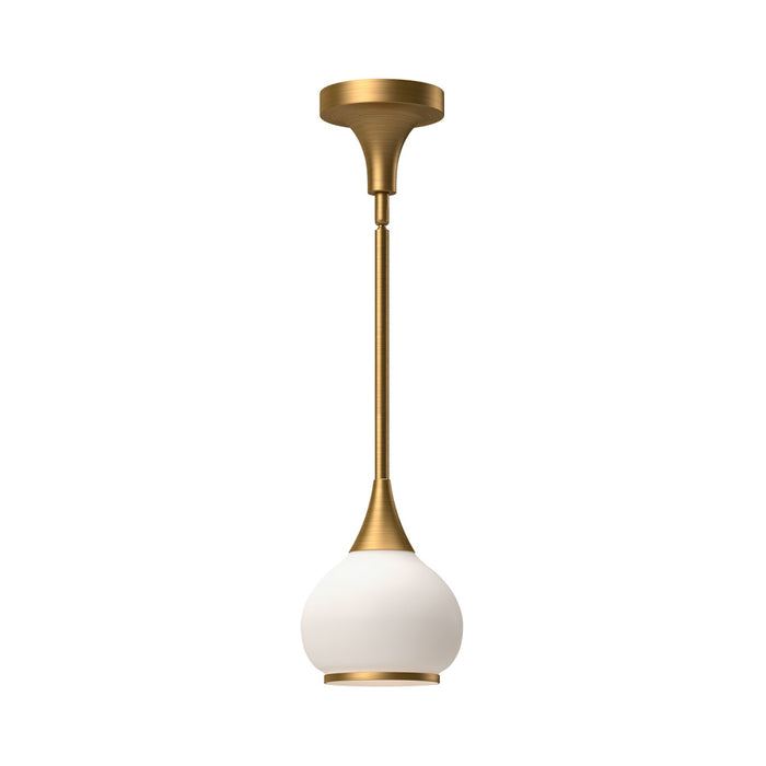 Hazel | PD524006AGOP