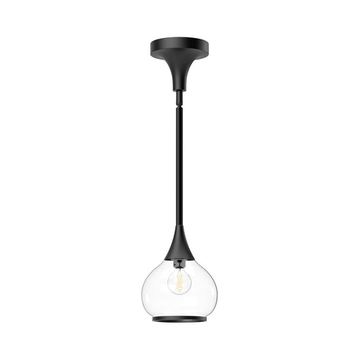 Hazel | PD524006MBCL