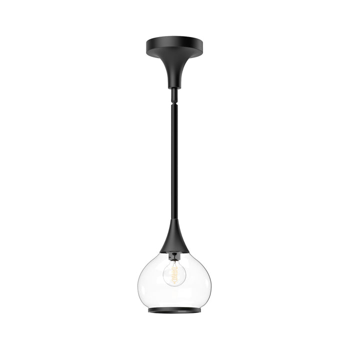 Hazel | PD524006MBCL