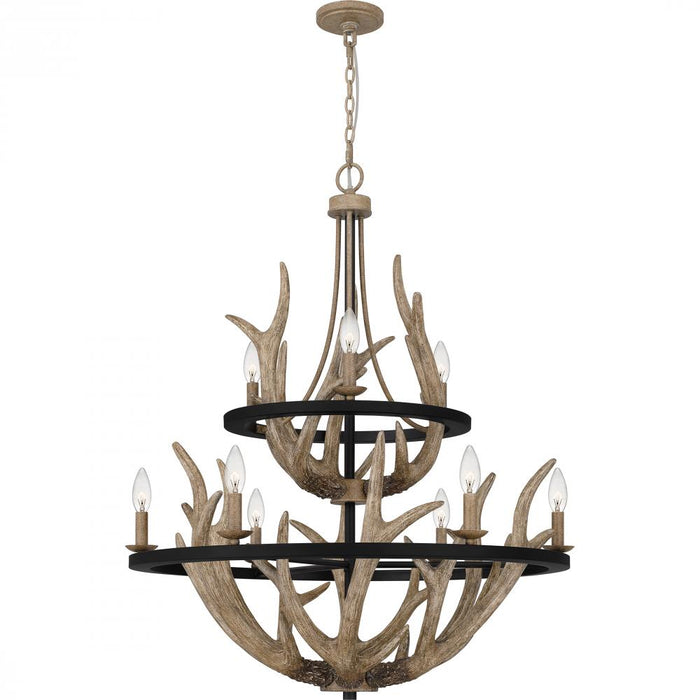 Quoizel Journey Chandelier