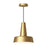 Juliana 11-in Brushed Gold 1 Light Pendant | PD527811BG