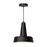 Juliana 11-in Matte Black 1 Light Pendant | PD527811MB