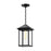 Larchmont 7-in Clear Glass/textured Black 1 Light Exterior Pendant | EP552009BKCL