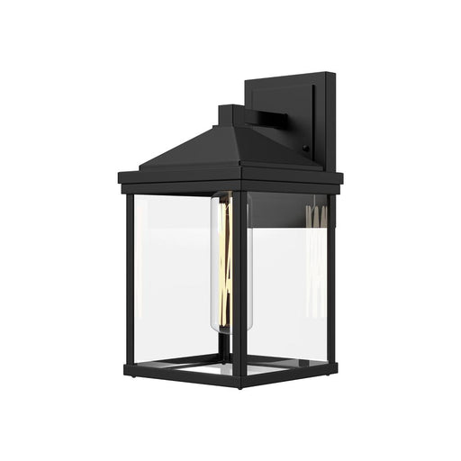 Alora Larchmont 9-in Clear Glass/Textured Black 1 Light Exterior Wall Sconce