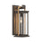 Lendel 6'' Twilight Bronze + Textured Gold Outdoor Sconce | LDL-901-TZ-TG