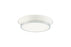 Jaxx Ceiling Mount | M11201WHCH