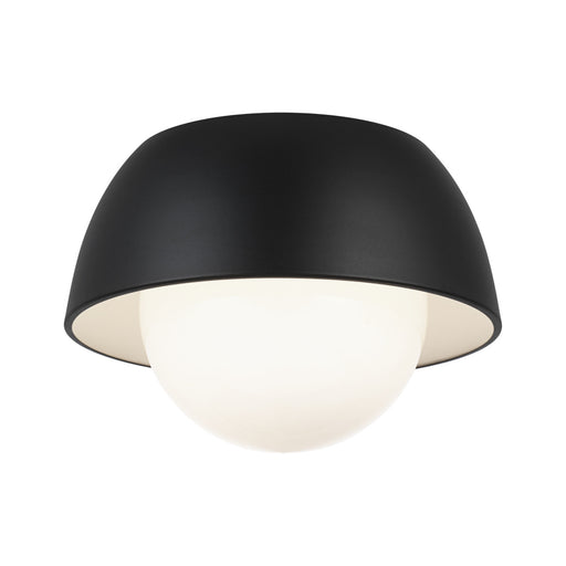 Watson Wall Sconce | M11311MBOP