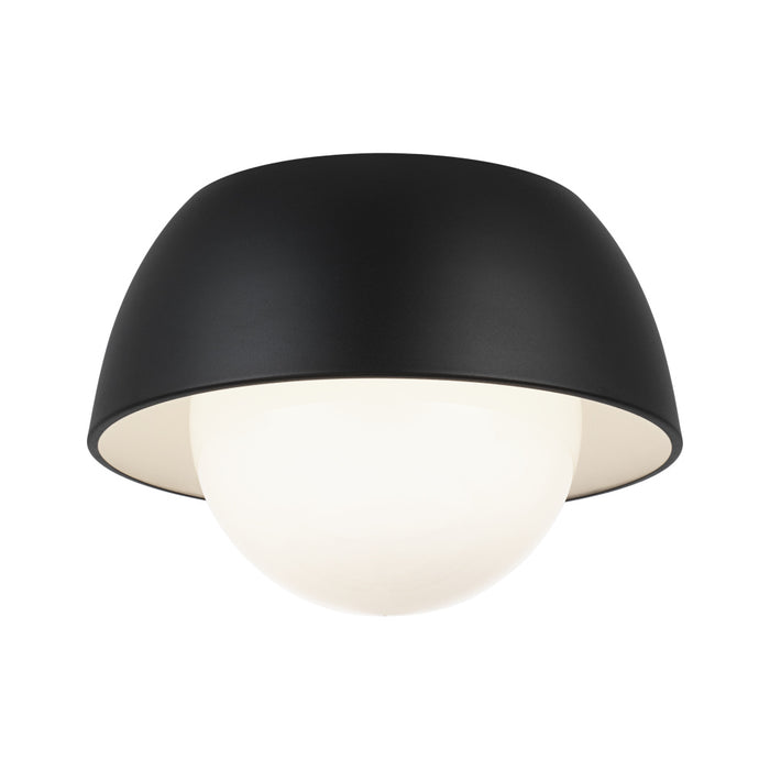 Watson Wall Sconce | M11311MBOP