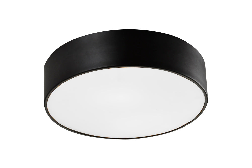 Snare Ceiling Mount | M12702BZ