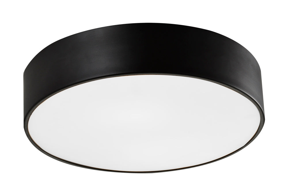 Snare Ceiling Mount | M12703BZ