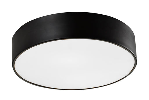 Snare Ceiling Mount | M12703BZ