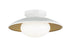 Hatley Ceiling Mount | M13111WHOP
