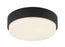 Quintz Ceiling Mount | M13202MB